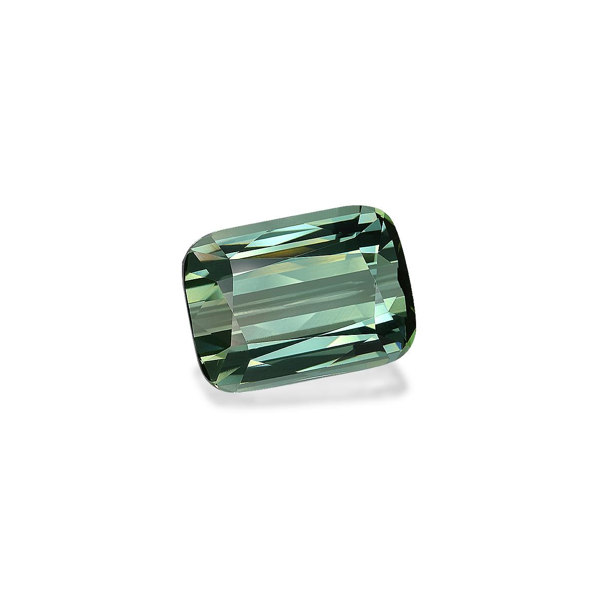 Green Tourmaline 55.36 ct